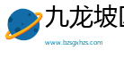 九龙坡区平拾